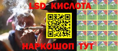 гидропоника Краснознаменск