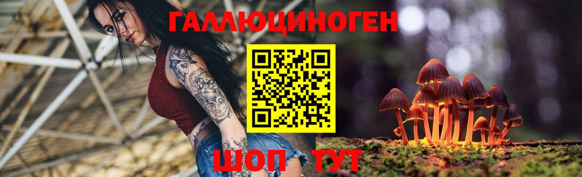 Кировск  Галлюциногенные грибы Psilocybe  Вход с VPN 